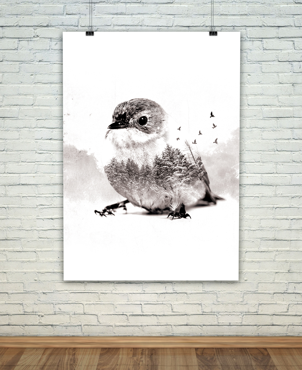 Bird1.jpg